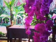 -Dash Teak House