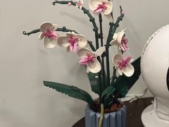 -Again Coffee Roaster(香蜜湖店)