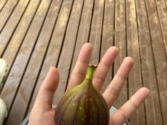 -大观篆新农贸市场