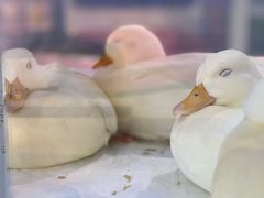 -吾悦广场(天津和平店)
