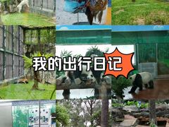 -广州动物园