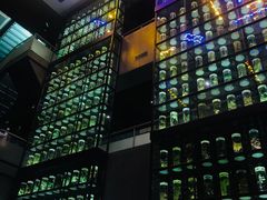 -广东中医药博物馆