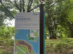 -海珠湖公园