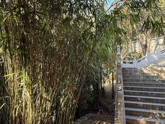 -青岛崂山太清宫