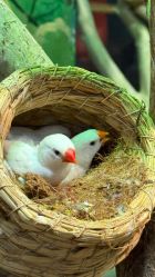 -Zoolung Zoolung动物主题公园(海信广场店)