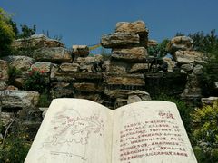 -武清南湖绿博园