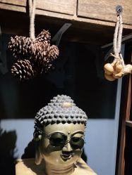 -木子·纹身店TATTOO穿孔·洗纹身