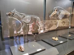 -北京周口店北京人遗址博物馆