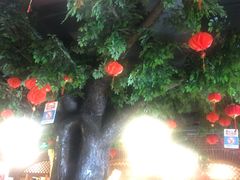 -福茂源横山铁锅羊肉(牡丹园店)
