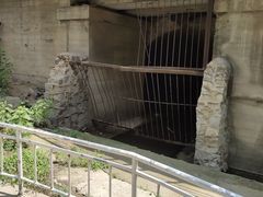 -白水寺森林公园