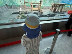 -秦皇岛野生动物园