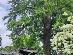 -常熟方塔园