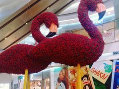 android_upload_pic-凯德广场(学府店)