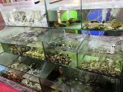 -四海鲜渔家菜(黄金海岸店)