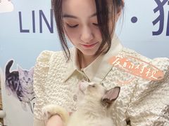 -lincat·猫舍(广州店)