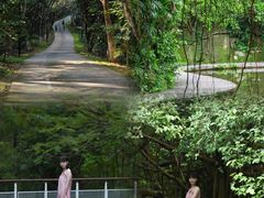 -燕晗山郊野公园
