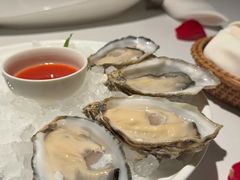 -Oyster Talks 四度蚝法餐厅