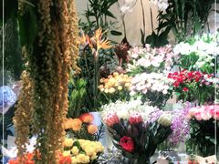 -花草间花行(法华镇路店)