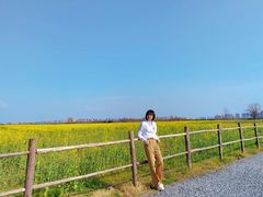 -汉长安城未央宫国家考古遗址公园