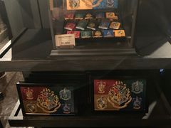 -哈利波特魔法世界