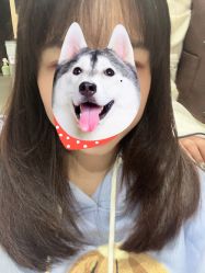 -禾里設計