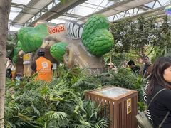 -南宫五洲植物乐园