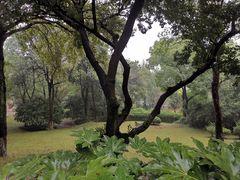 -上海市保健医疗中心