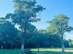 -艾溪湖湿地公园