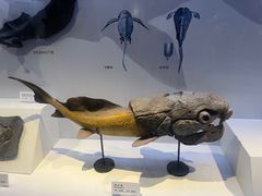 -重庆自然博物馆(新馆)