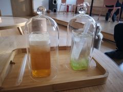 -猫腻·猫咖·撸猫馆(星光大道店)