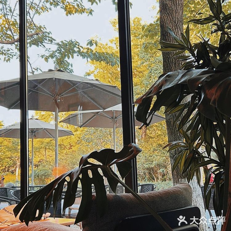 🌿周浦公园新晋打卡地|一尺花园玻璃屋