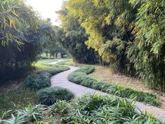 -堤角公园