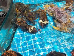 -梦都海鲜酒家(万达广场江桥店)