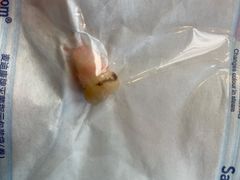 -欢乐口腔(望京分院)