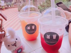 -有猫主题·治愈系猫咖(曾厝垵店)
