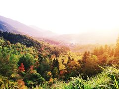 -塔川景区