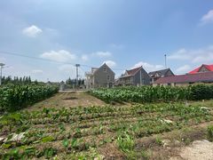 -妈妈的小作坊(陈家镇店)