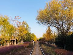 -永定河休闲森林公园