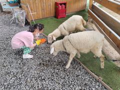 -HERRE·FARM 赫尔露营农场·团建聚会包场