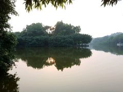 -三水森林公园