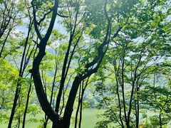 -秦岭终南山世界地质公园翠华山景区