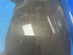 -潮信鱼头王(西环店)