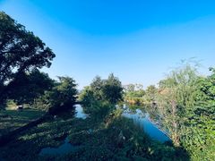 -良渚古城遗址公园