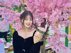 -朗悦公园茂