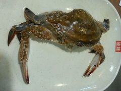 android_upload_pic-傣妹火锅(四川北路店)