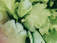 -百叶居·老北京涮羊肉(鼓楼店)