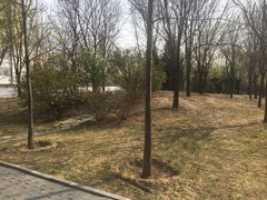 -首都医科大学附属北京地坛医院