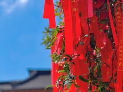 -东钱湖小普陀景区