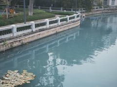 -溪岸路花鸟市场