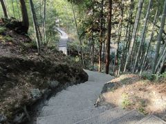 -石台牯牛降景区